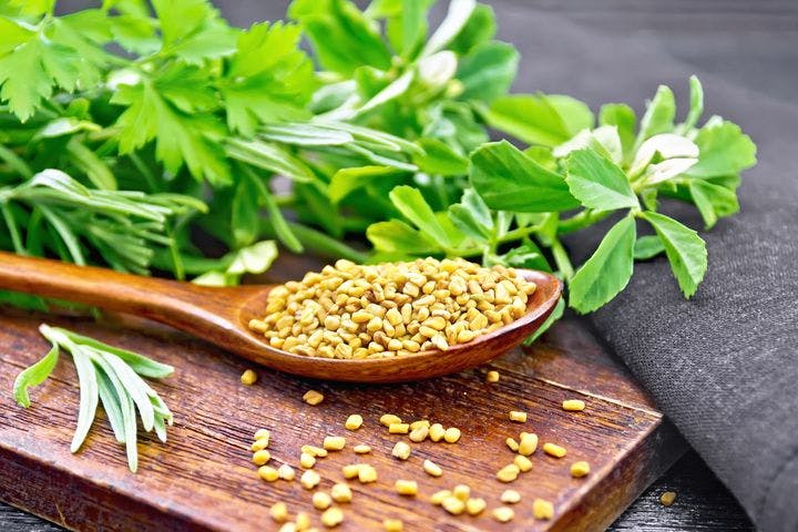 A spoonful of fenugreek seeds is placed beside the plant.