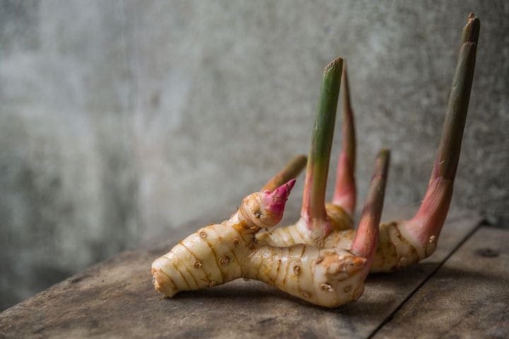 Close-up of multiple galangal roots stacked on top of each other.