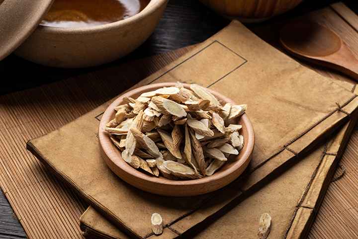 Dried astragalus root on top of some Traditional Chinese Medicine notebooks