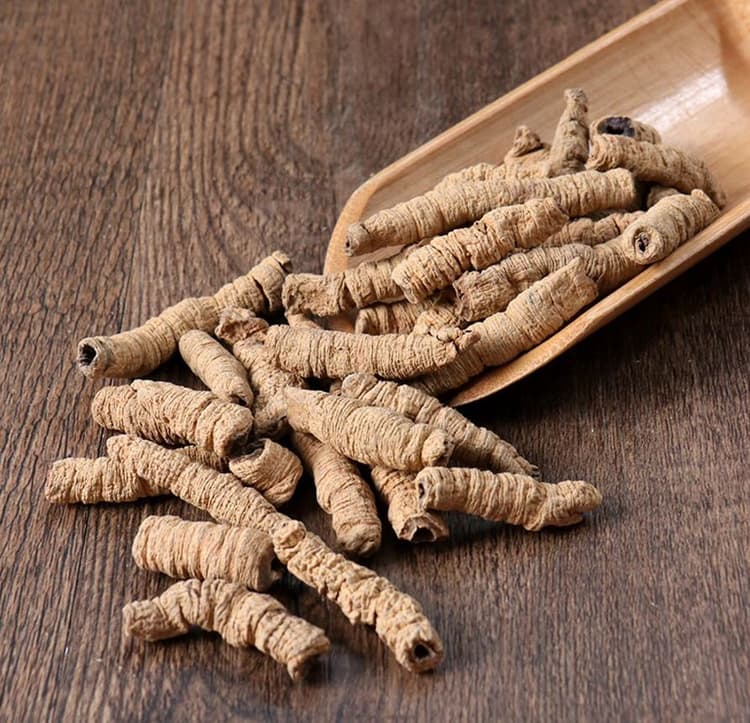 Radix Morindae Officinalis (Ba Ji Tian) on table