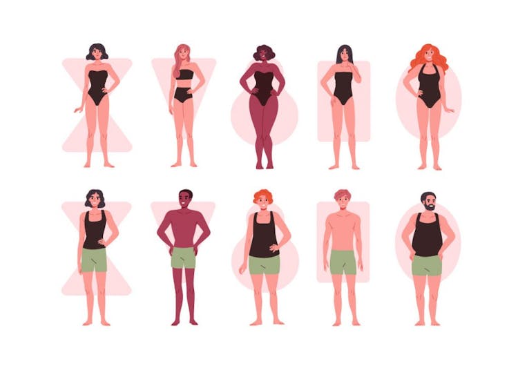 An illustration of males and females with various body shapes – hourglass, triangle, pear, rectangle, and oval