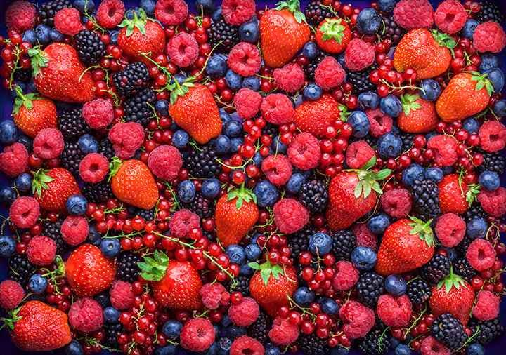 An overhead shot of a collection of different kinds of berries.