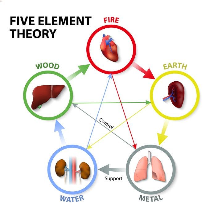 A diagram depicting the five elements in TCM and the corresponding internal organs, as well as how they relate to one another