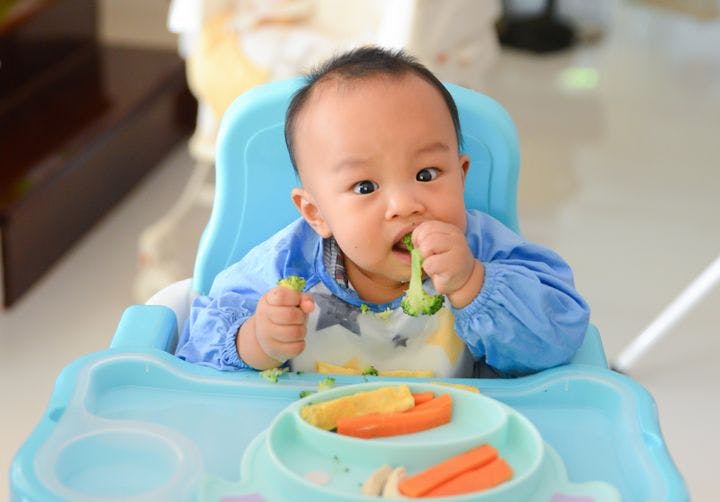 A baby boy sitting on a highchair eating a broccoli floret
