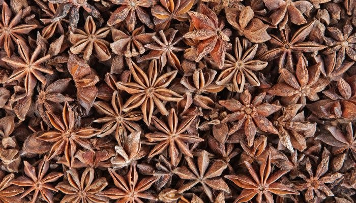Close up shot of Chinese Star Anise TCM Herb