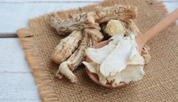 Dang gui (angelica sinensis) root and dang gui slices on wooden spoon
