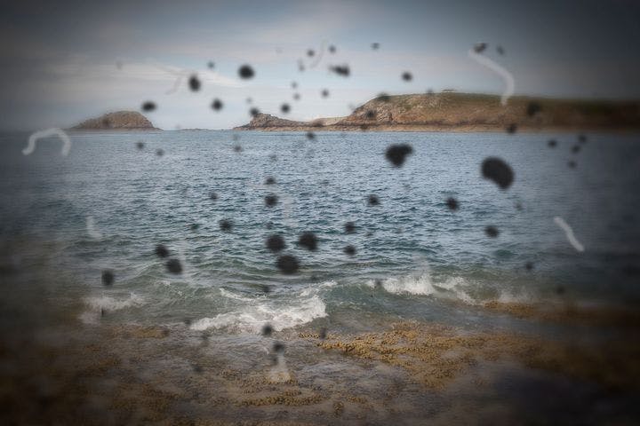 Point-of-view of a person with eye floaters looking out at the sea 