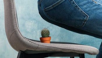 Woman lowering herself to sit on a chair that has a small pot of cactus on the seat