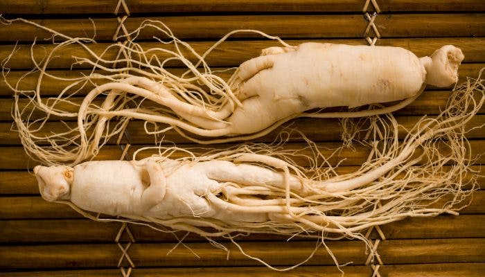Two ginseng roots on a bamboo mat