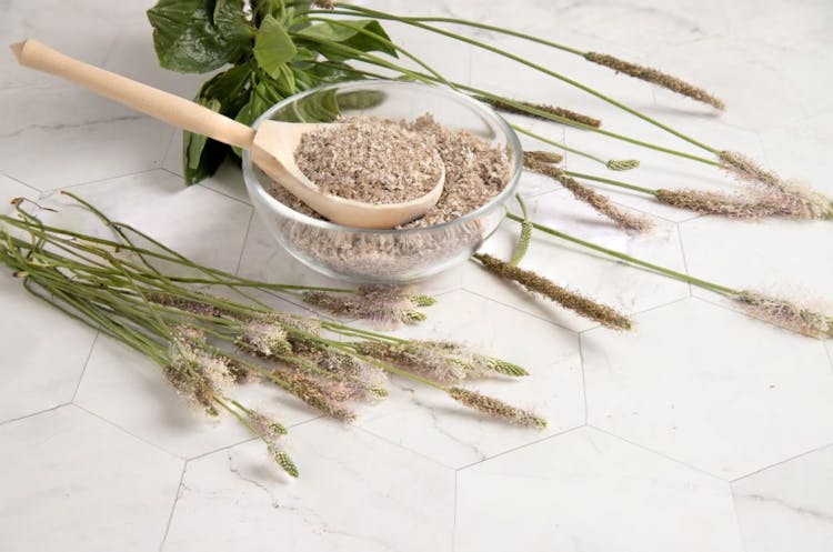 A glass bowl and wooden spoon containing psyllium husk displayed on a white marble surface with stalks of Plantago ovata.