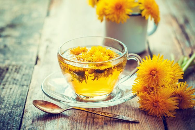 Cup of healthy dandelion tea (pu gong ying). Herbal medicine. 