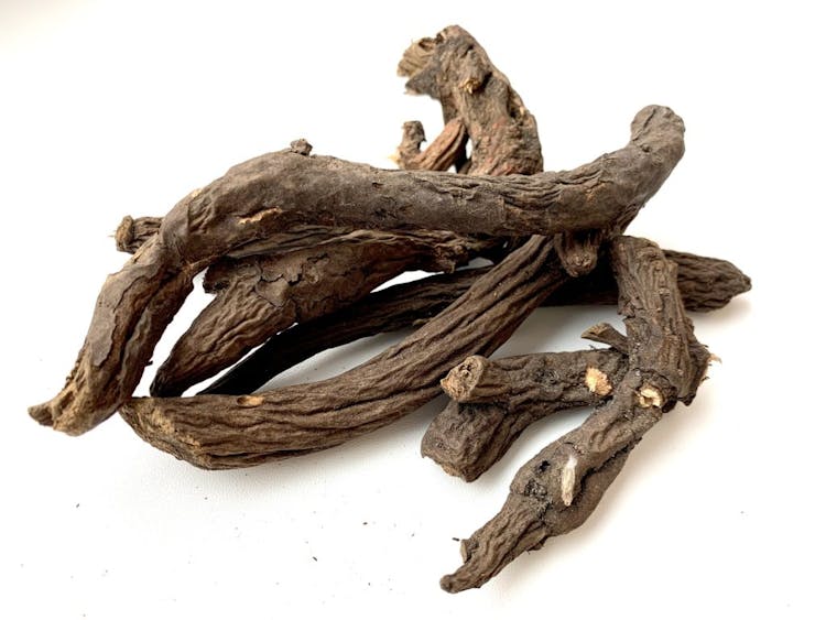 Close up of Garden Burnet Root, Radix Sanguisorbae Officinalis (Di Yu) on a white background
