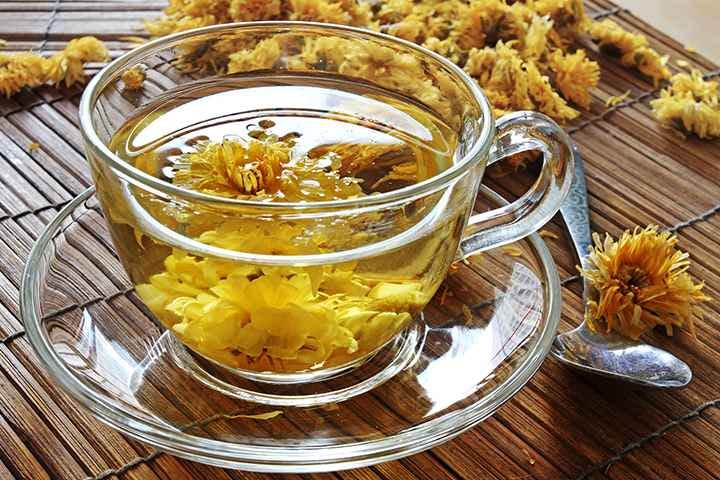 Chrysanthemum flower tea in a clear cup surrounded by fresh chrysanthemum flowers scattered on a table.
