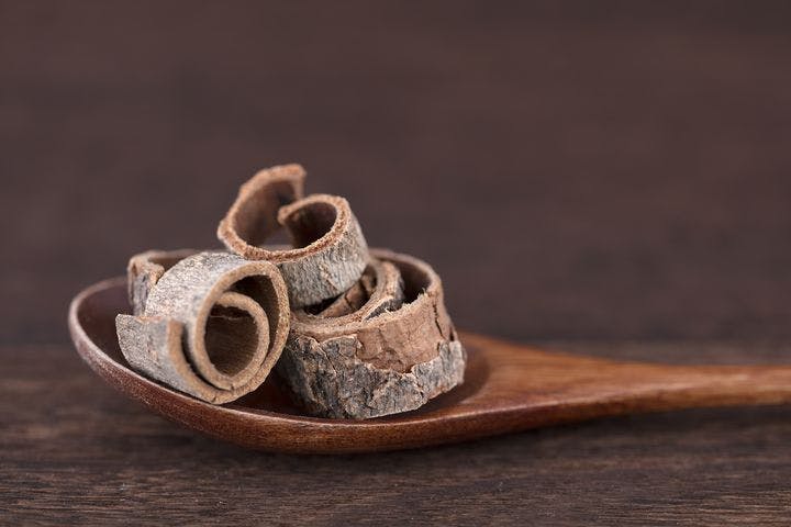 Close-up of three small pieces of magnolia bark on a wooden spoon against the background of a wooden table.