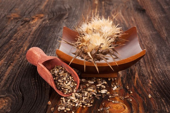 Dried blessed thistle flower and seeds on a wooden tabletop
