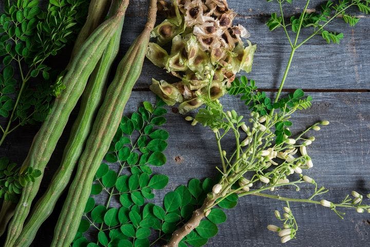 Close-up of moringa leaves, pods, flowers, and seeds on a wooden surface. 