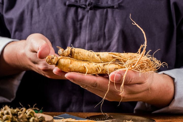 Close-up of a Chinese Medicine practitioner holding ginseng roots in both hands.