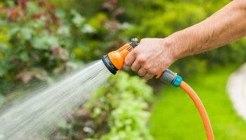 Man watering garden with an orange hose, a strong spray of water coming out