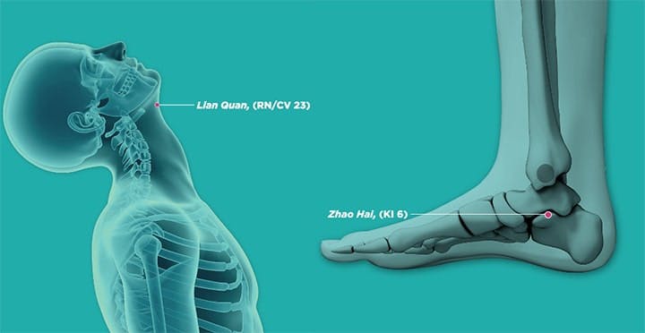 3D visuals of the Lianquan and Zhaohai acupoints
