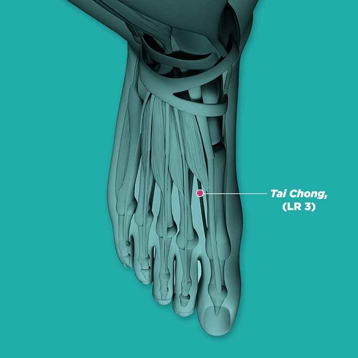 3D illustration of the Taichong (LV3) acupressure point