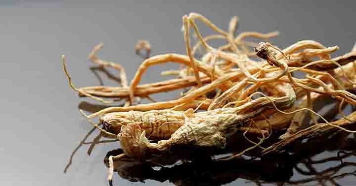 Dried Chinese ginseng rootlets on reflective black surface.