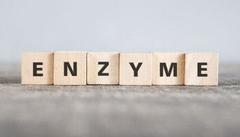 Building blocks that spell the word ‘ENZYME’.