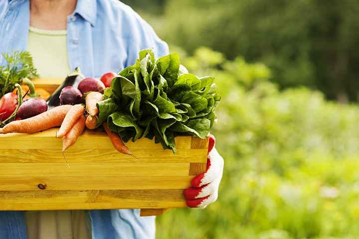 Farmer holding box of organic produce