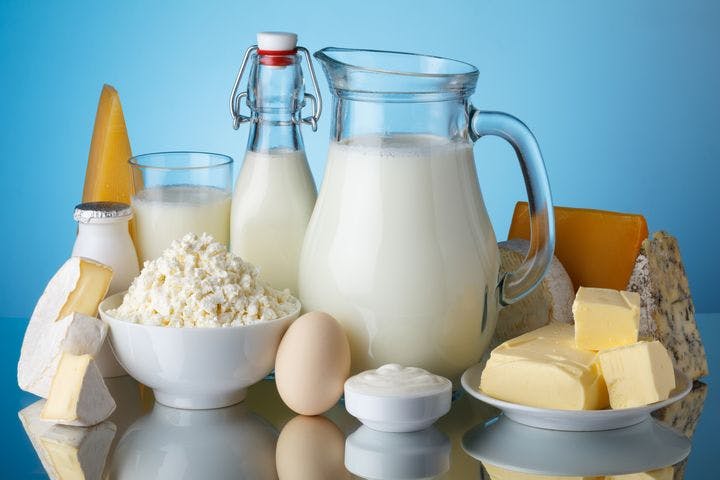 A display of cheese, milk, yoghurt and eggs