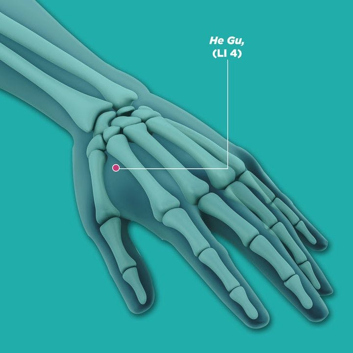 An illustration of a left hand, showing he gu (LI4) acupressure point