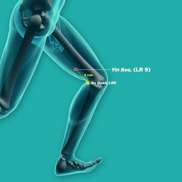 An illustration of a person running, showing yin bao (LR9) acupressure point