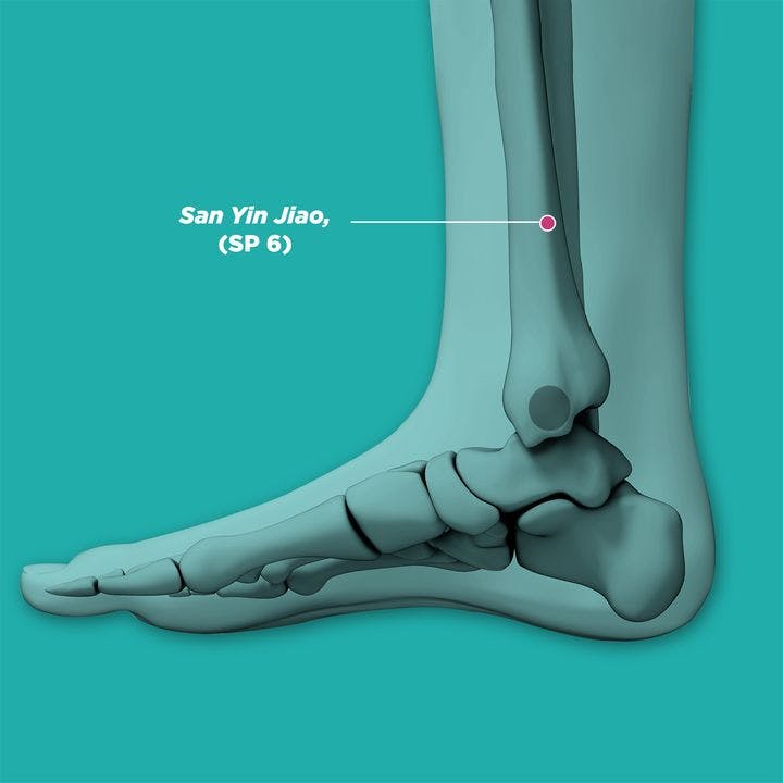 An illustration of a right foot, showing san yin jiao (SP6) acupressure point