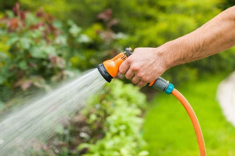 Man watering garden with an orange hose, a strong spray of water coming out