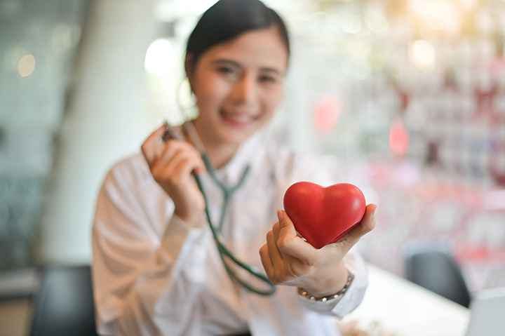 Woman doctor holds out toy heart model