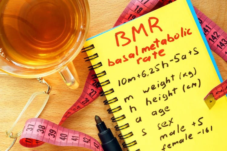 BMR basal metabolic rate formula in a notepad