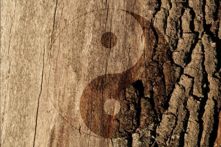 A yin-yang symbol etched into tree bark.