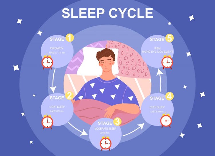 5 stages of sleep cycle