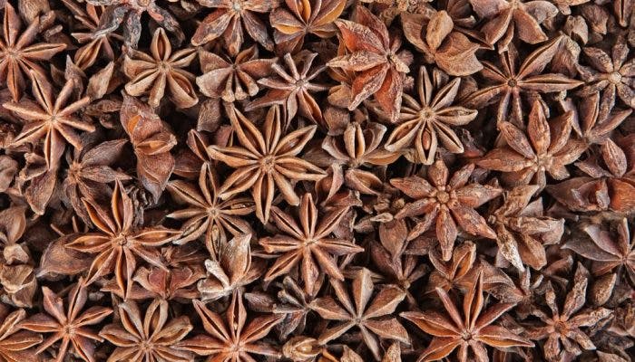 Chinese Star Anise