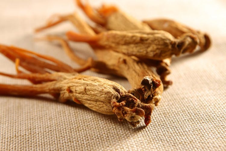 Red Korean ginseng pictured on a brown mat