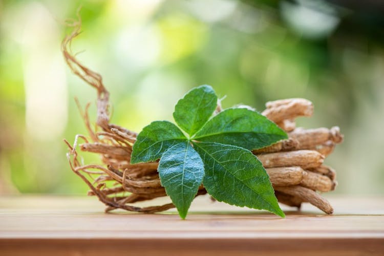 Ginseng root pictured on a wooden table with a green leaf