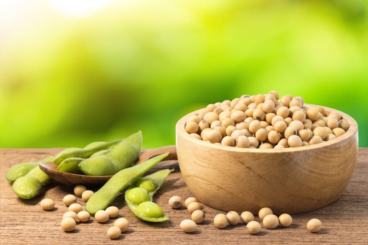 A bowl full of soybeans pictured on a wooden table with green soy pods next to it