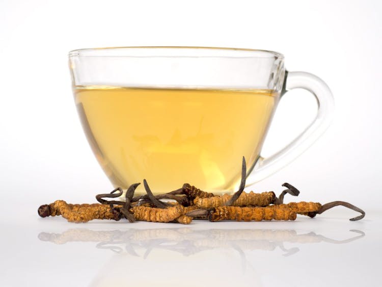 An image of cordyceps sinensis tea 