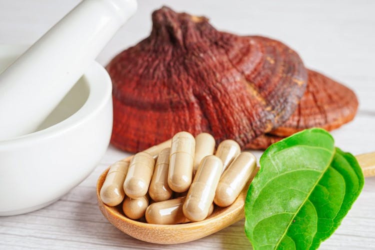 Lingzhi mushroom and lingzhi supplement pictured in a wooden spoon next to a green leaf 