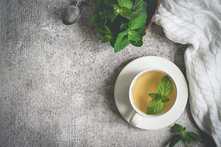 Peppermint tea in a white porcelain teacup pictured on a gray background