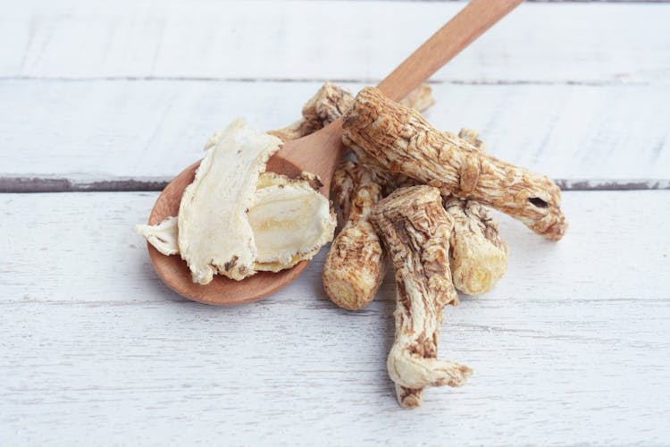 Image of dang gui (angelica sinensis) with dang gui ginseng slice on wooden spoon