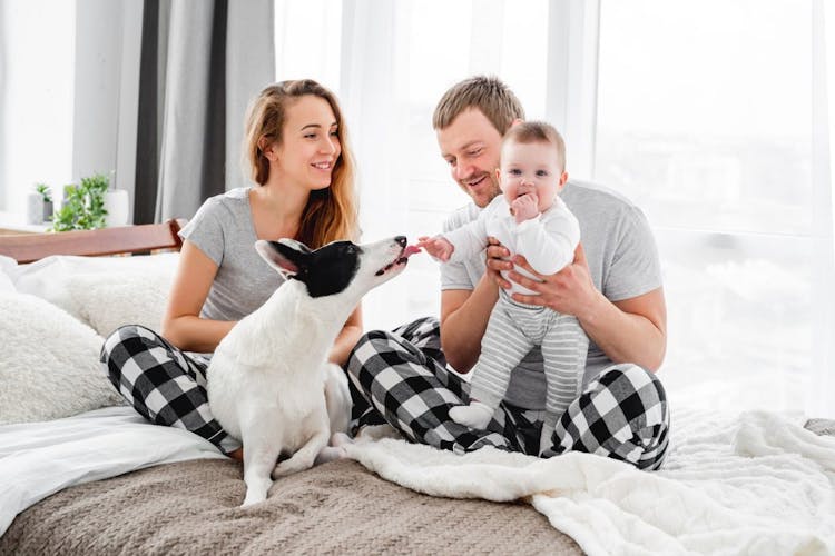 A happy couple with a dog and a baby boy