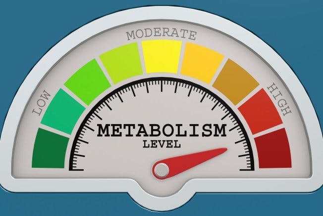 Boosting metabolism with food