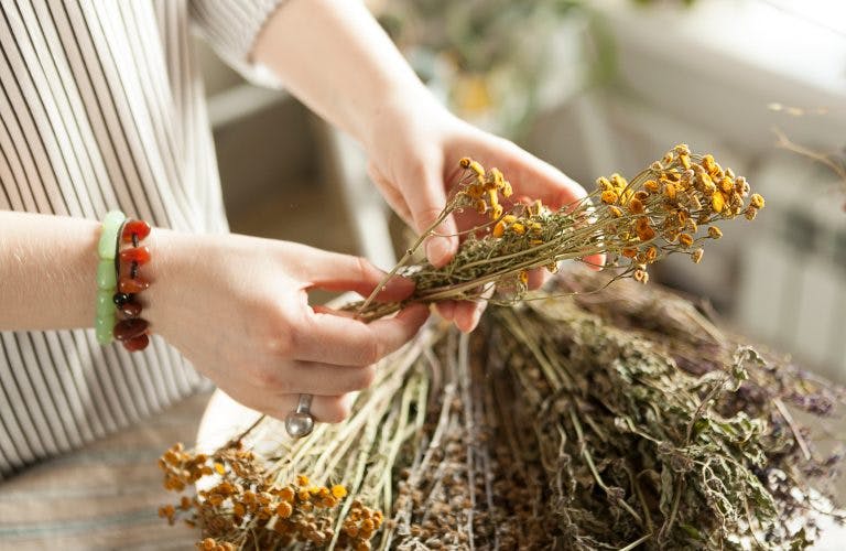 A woman holding dry herbs like dried chrysanthemum flowers on a wooden table